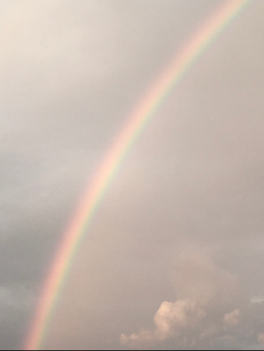 The Power of&nbsp;Compassion